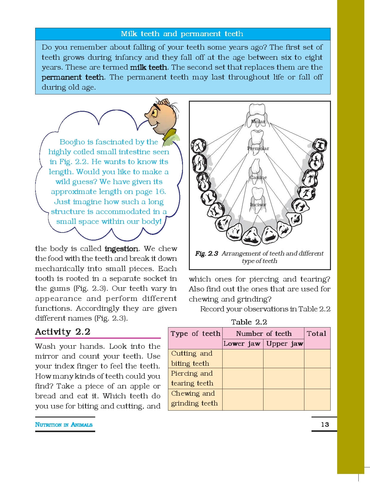 class 6 science worksheets chapter 5